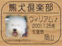 �I�[�i�[�́A�`�����X�}�}����ł���